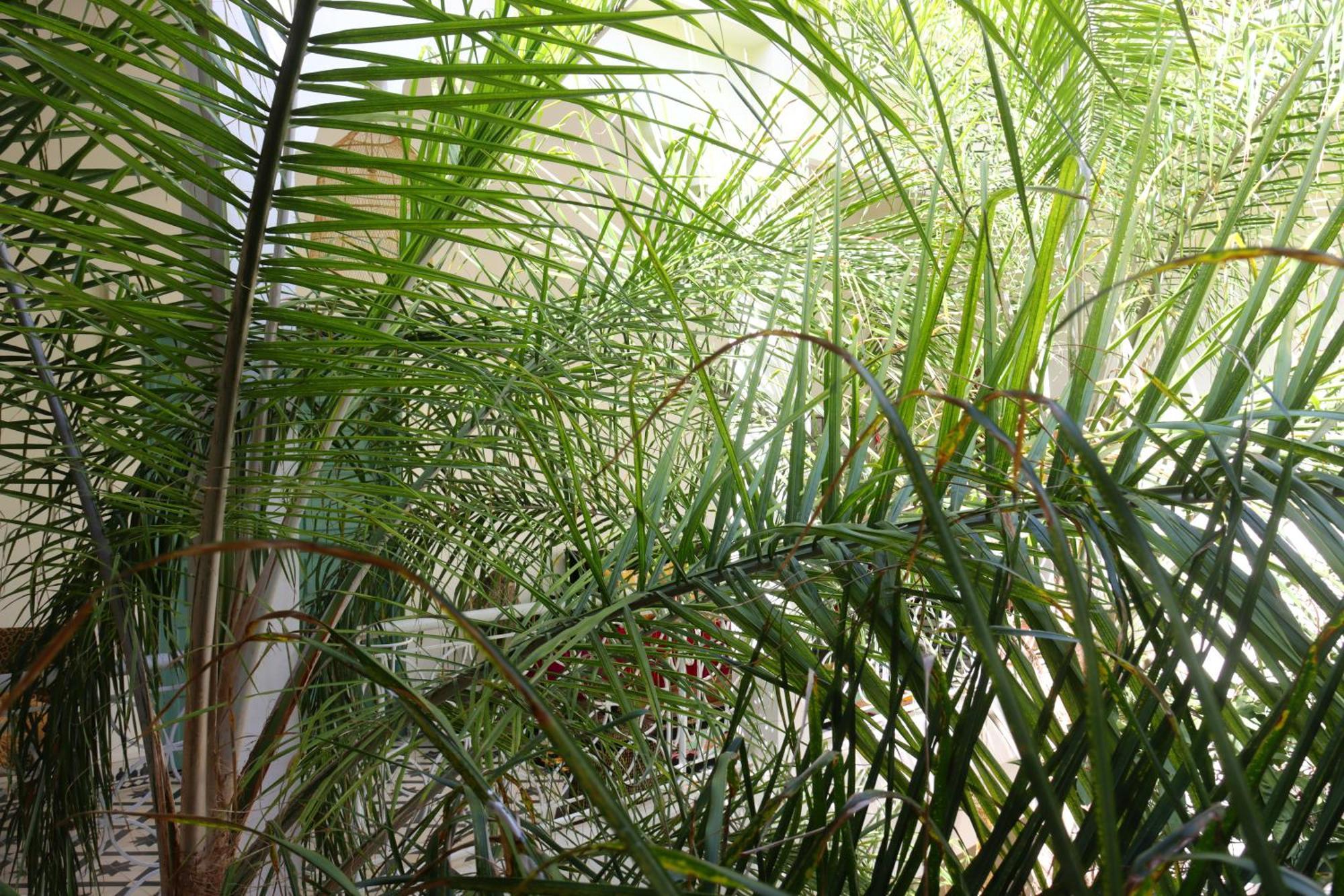 Riad Naanaa Bed & Breakfast Marrakesh Ngoại thất bức ảnh
